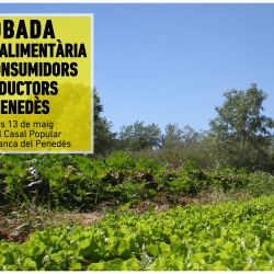 Trobada Agroalimentària de Productors i Consumidors: fer xarxa, buscar solucions i caminar juntes cap a la sobirania alimentària